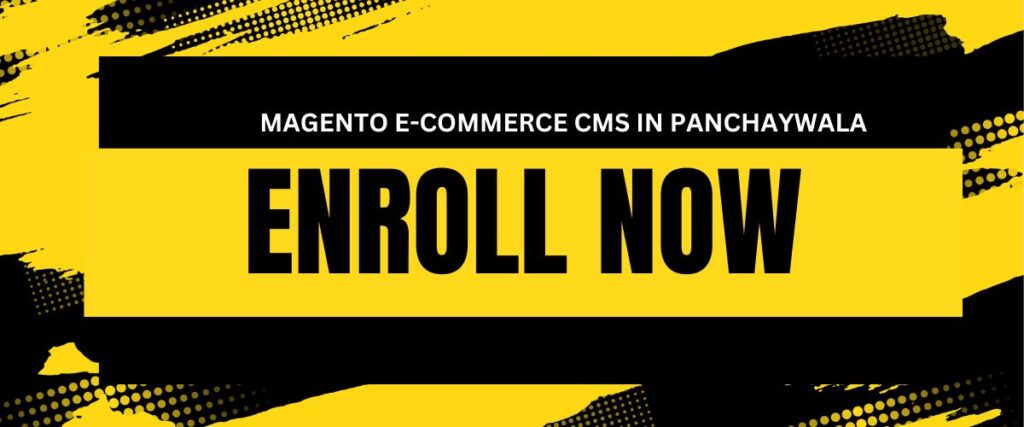 MAGENTO E-COMMERCE CMS IN PANCHAYWALA