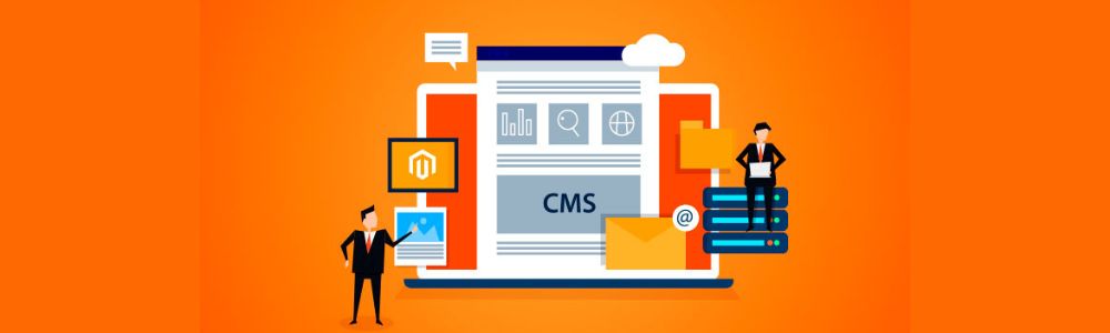 MAGENTO E-COMMERCE CMS IN JAIPUR